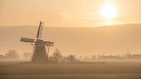 Mill in the fog