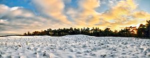 Wide White World