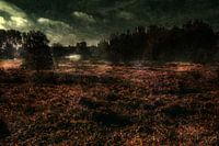 Wetlands