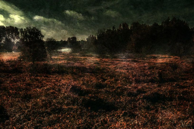 Wetlands by Katz MatzArt