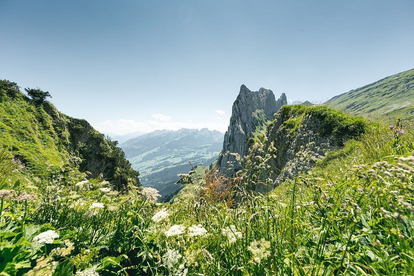 Saxerlücke surrounded by green meadows by Besa Art