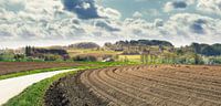 Lines in landscape