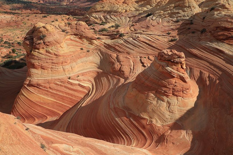 Rotsformaties in de North Coyote Buttes, deel van het Vermilion Cliffs National Monument. Dit gebied van Frank Fichtmüller