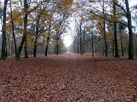 Herfst