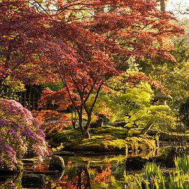 enchanting landscape by Sebastian Stef