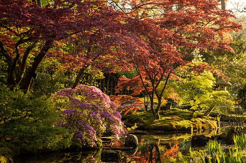 bezaubernde Landschaft