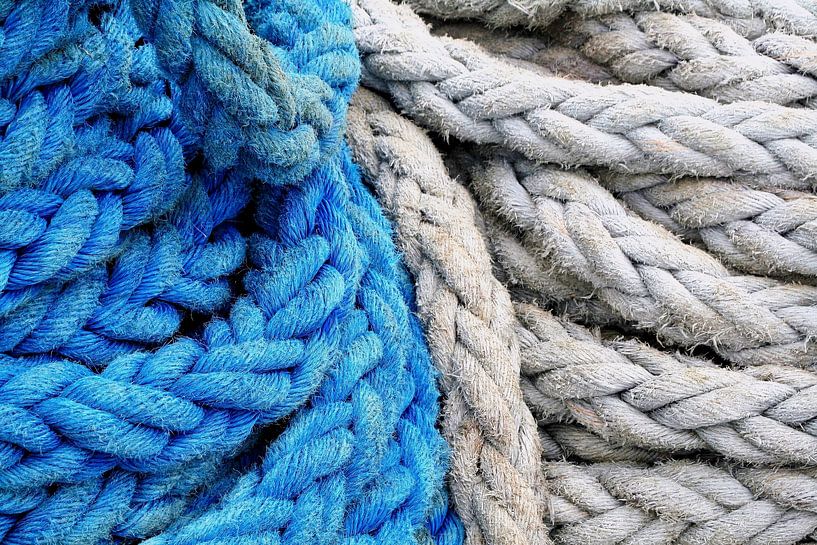 Blue and white bunches on the ss Rotterdam by Dick de Gelder