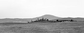 Tuscan landscape near San Quirico by Felix Sedney