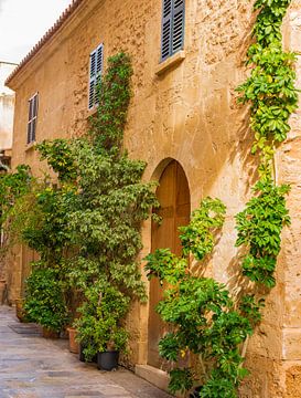 Typical house at the old town of Alcudia on Majorca island, Spain by Alex Winter