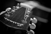 Eastman gitaar