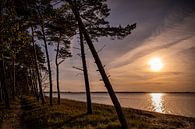 Zonsondergang op het strand van Sebastian Witt thumbnail