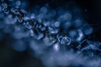Crystal drops