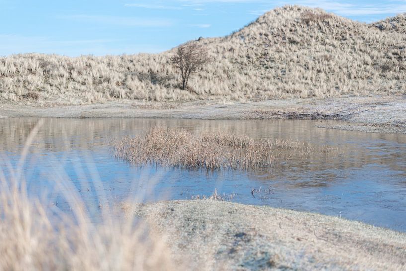 Lake between the dunes by DsDuppenPhotography