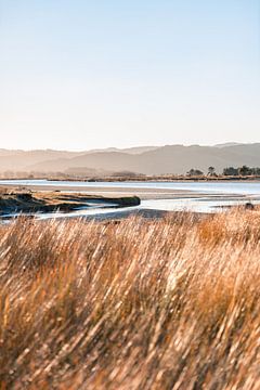 Paysage de l'heure d'or en Nouvelle-Zélande sur Niels Rurenga