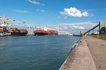 Containerterminal in de haven van Rotterdam met 2 containerschepen van Rick Van der Poorten