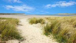 Texel - De Slufter