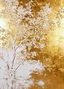 White and gold tree 5 by JBJart Justyna Jaszke thumbnail