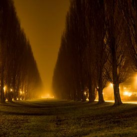 Rijnkennemerlaan on a foggy evening by Martijn Wit