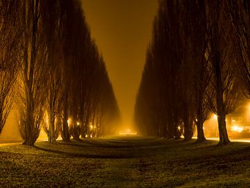 Rijnkennemerlaan on a foggy evening by Martijn Wit