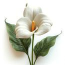 Calla Lily Grace von Chromatic Fusion Studio Miniaturansicht