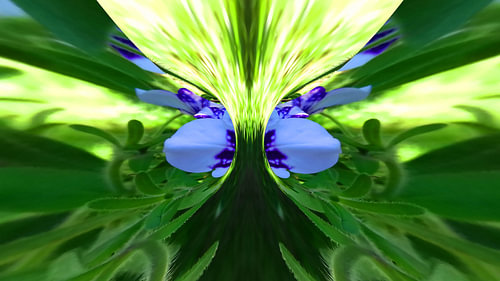 Abstrakte digitale Kunst 1513 Eruptierendes Licht