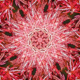 Fire and Fury sur Frans Blok - des photos, de l'art et des autres décorations murales