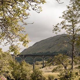 Glenfinnan in de Schotse Hooglanden II - Schotland Fotografie van Henrike Schenk