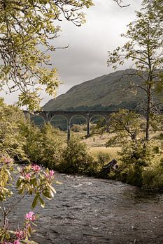 Glenfinnan in den schottischen Highlands II - Schottland Fotografie