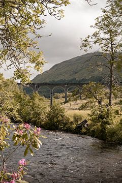 Glenfinnan in den schottischen Highlands II - Schottland Fotografie von Henrike Schenk