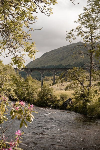 Glenfinnan dans les Highlands d'Écosse II - Photographie d'Écosse par Henrike Schenk