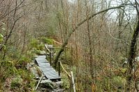 hiking trail in Germany