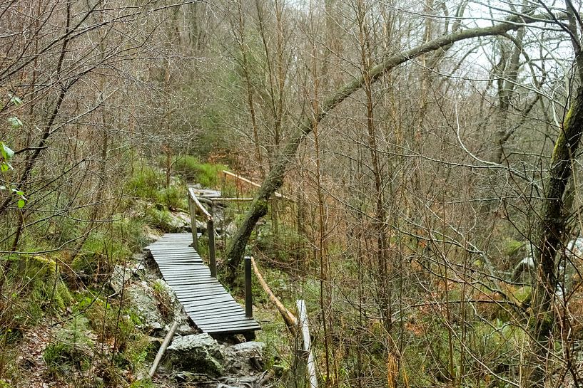 wandelpad in Duitsland van Raf Eussen