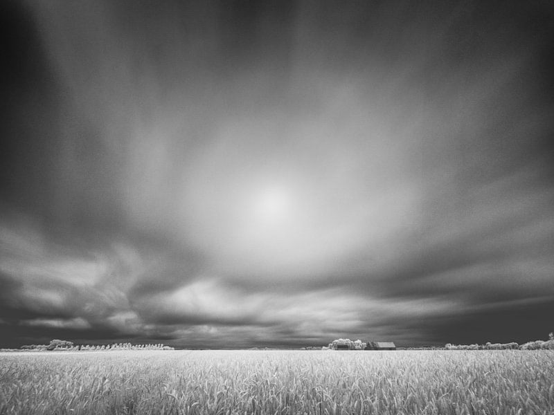 Grain field in infrared. by Lex Schulte