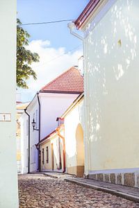 Mittelalterliches Tallinn