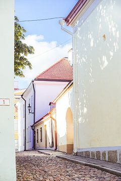 Middeleeuws Tallinn van Patrycja Polechonska