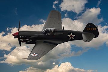 P40 gevechtsvliegtuig US ww2 van Brian Morgan