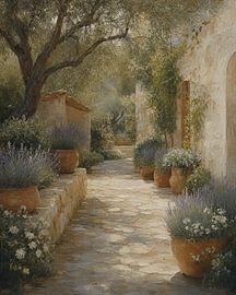Where Light Falls