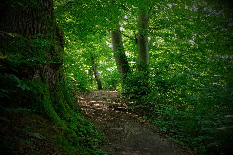 The way forward by Andreas Kilian