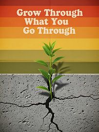 Growth from Struggle by Bovi Okta