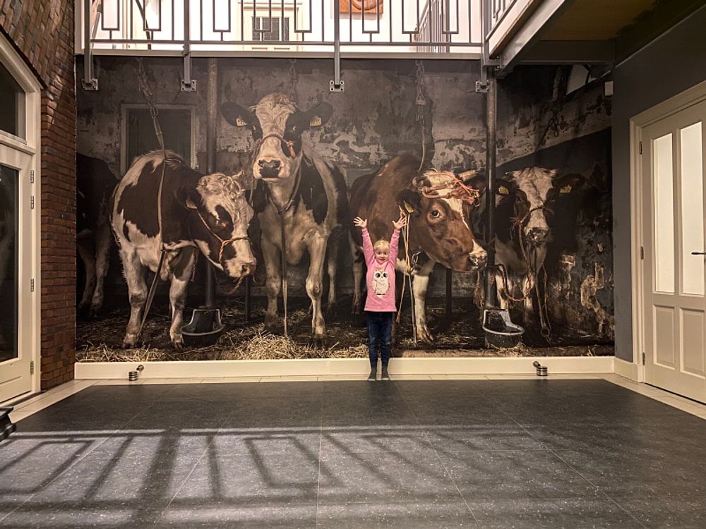 Kühe im alten Kuhstall von Inge Jansen