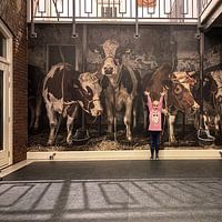 Kundenfoto: Kühe im alten Kuhstall von Inge Jansen, auf nahtloser fototapete