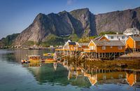 Sakrisøy op de Lofoten van Hamperium Photography thumbnail