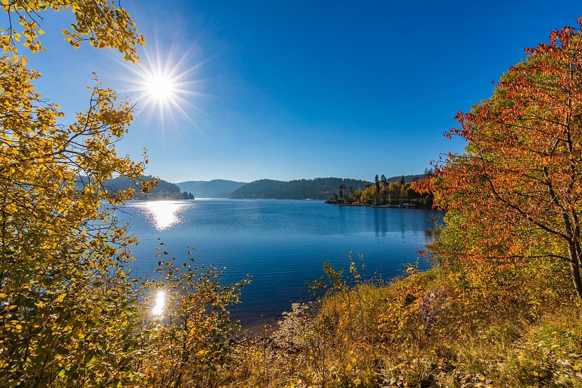 Schluchsee in het natuurpark Zuid-Schwarzwald - Zwarte Woud van Werner Dieterich