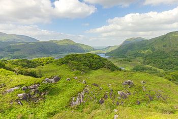 Damenansicht - Killarney (Irland)