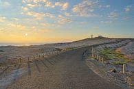 Straße zum Faro de Arinaga auf Gran Canaria von Michael Valjak Miniaturansicht