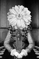 The Lady of Black Castle