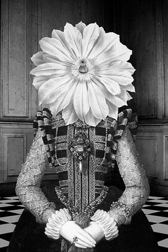 The Lady of Black Castle