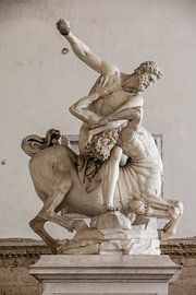 Statue Of Hercules killing the centaur, Florence, Italie by Joost Adriaanse
