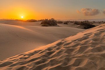 Zonsopgang in de duinen van Markus Lange