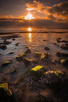 Stones with algae by peterheinspictures